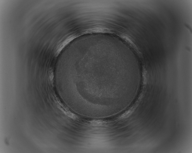 X0000101981065200807181120