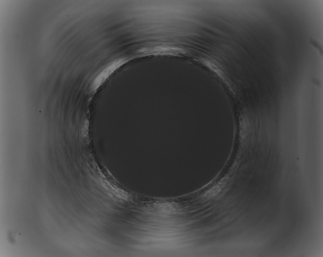 X0000101981066200807181119