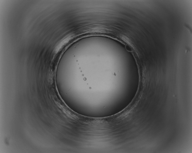 X0000101981067200807181119