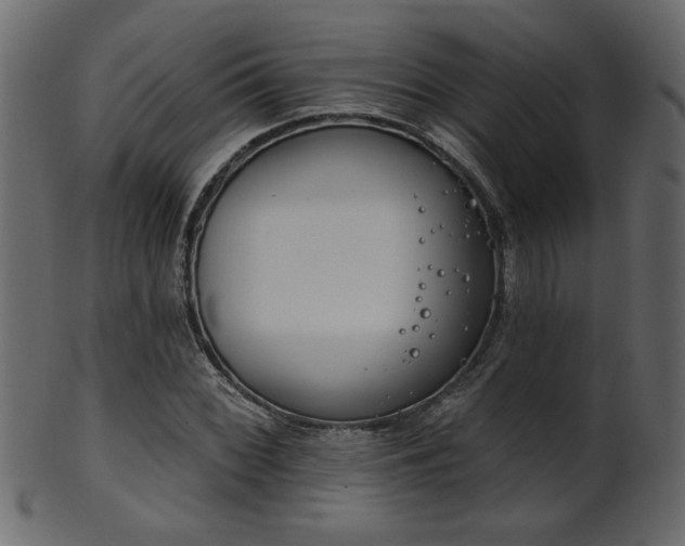 X0000101981068200807181119