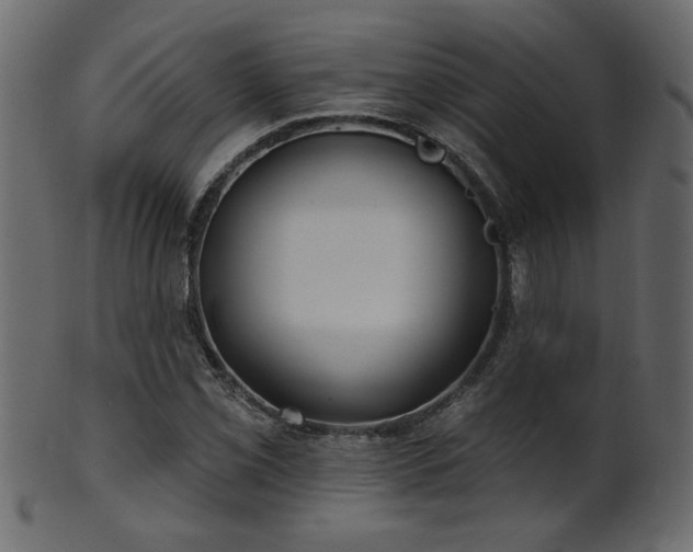 X0000101981069200807181119