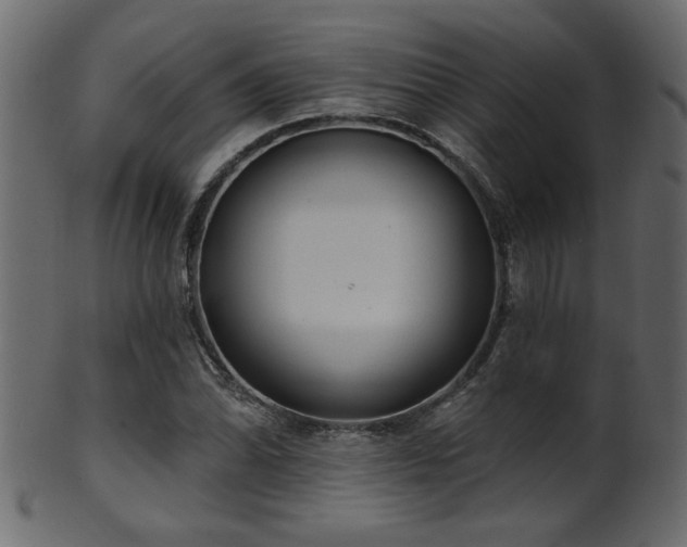 X0000101981070200807181119