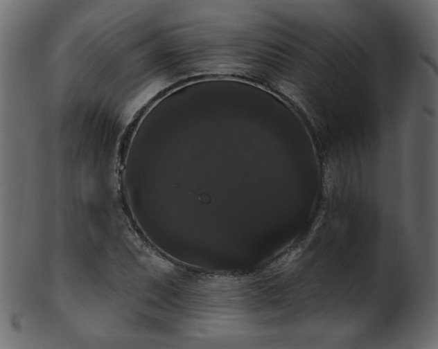 X0000101981071200807181119