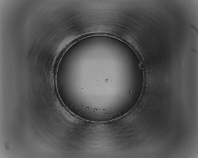 X0000101981072200807181119