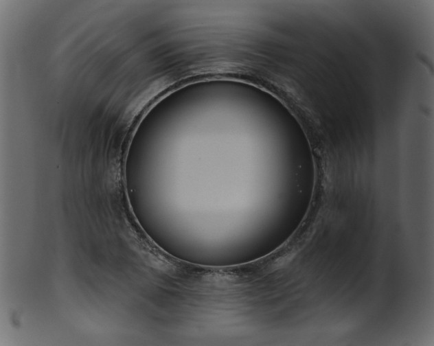 X0000101981073200807181119