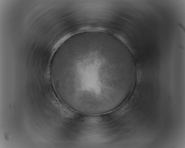 X0000101981074200807181119