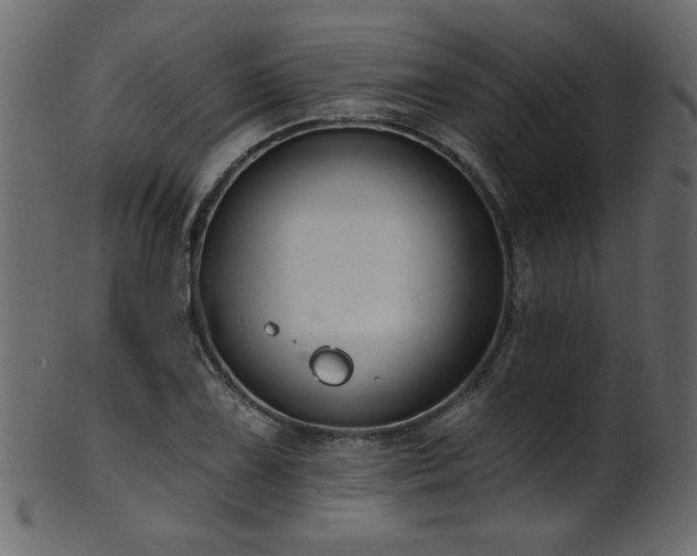 X0000101981075200807181119