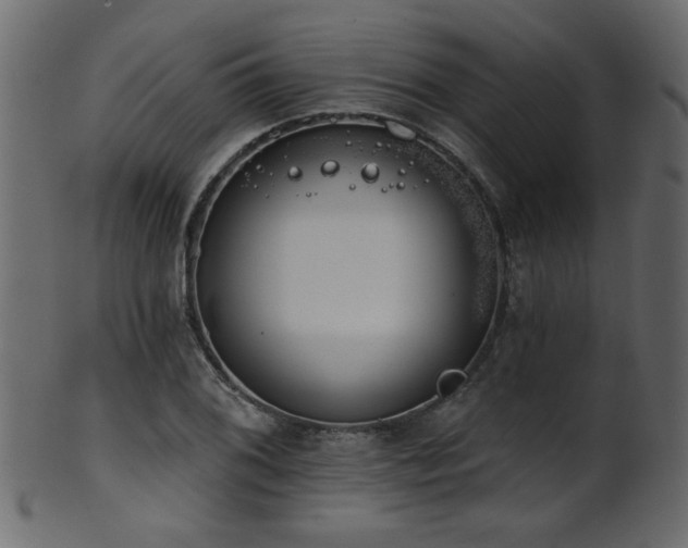 X0000101981076200807181119