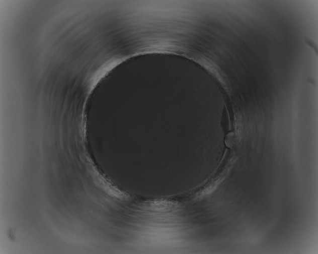 X0000101981077200807181119