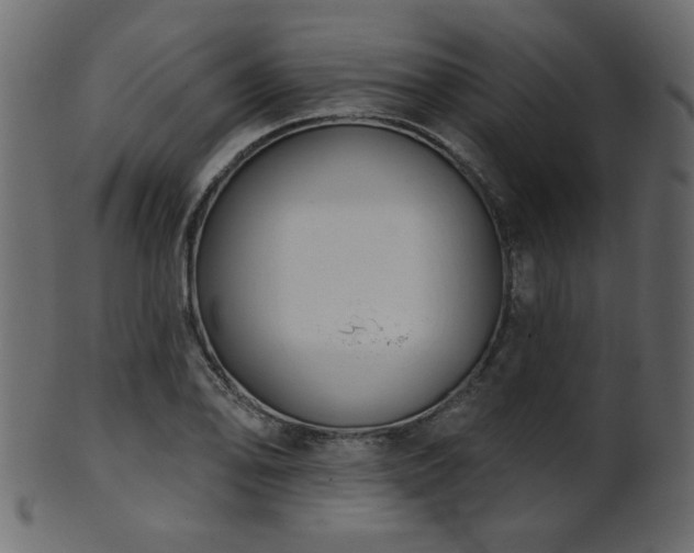 X0000101981078200807181119