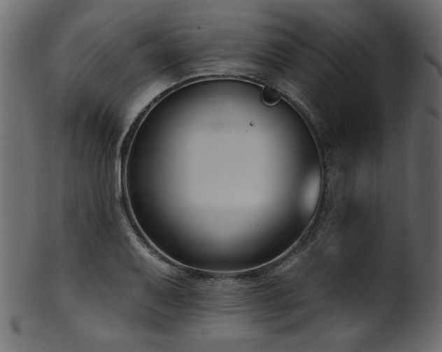 X0000101981079200807181119