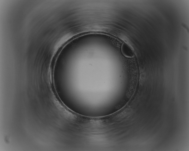 X0000101981080200807181119