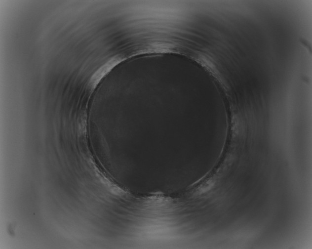 X0000101981081200807181119