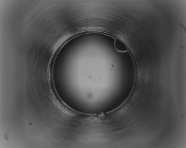 X0000101981082200807181119