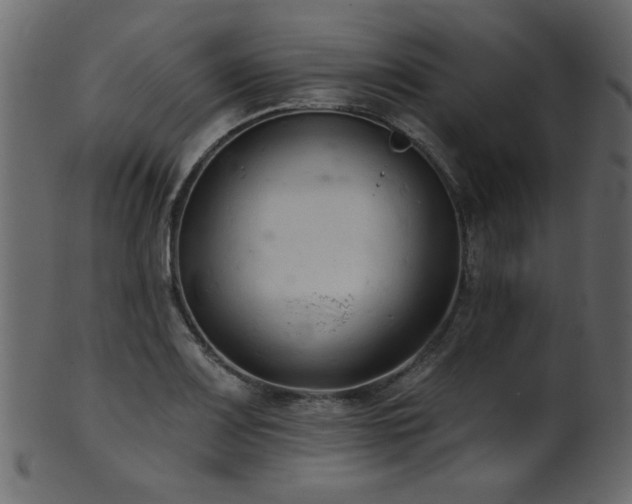 X0000101981083200807181119