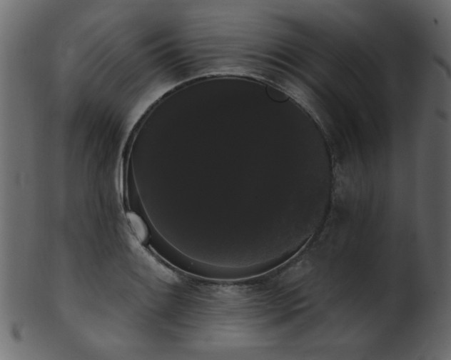 X0000101981084200807181119