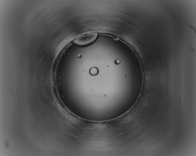 X0000101981085200807181119