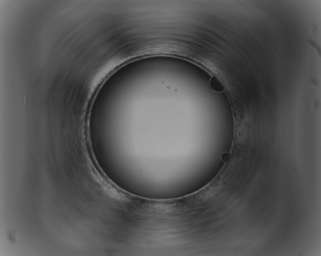 X0000101981086200807181119