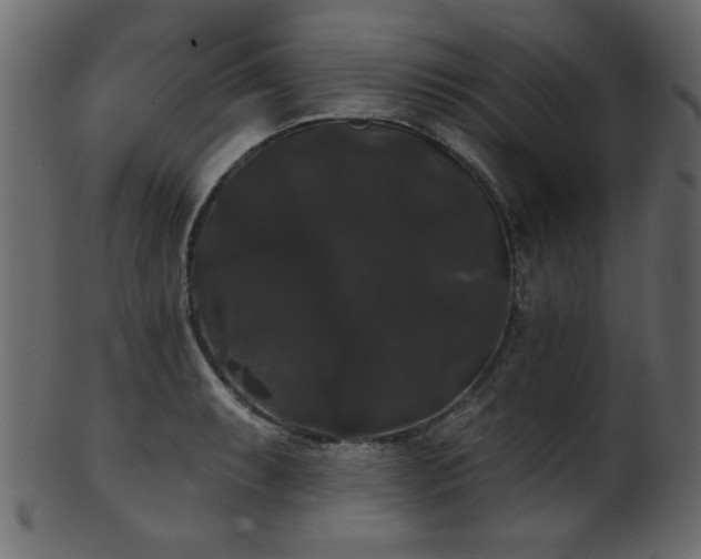 X0000101981087200807181119