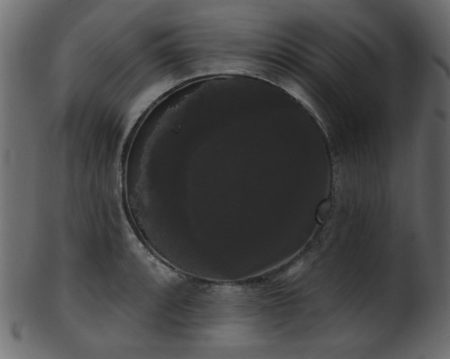 X0000101981088200807181119