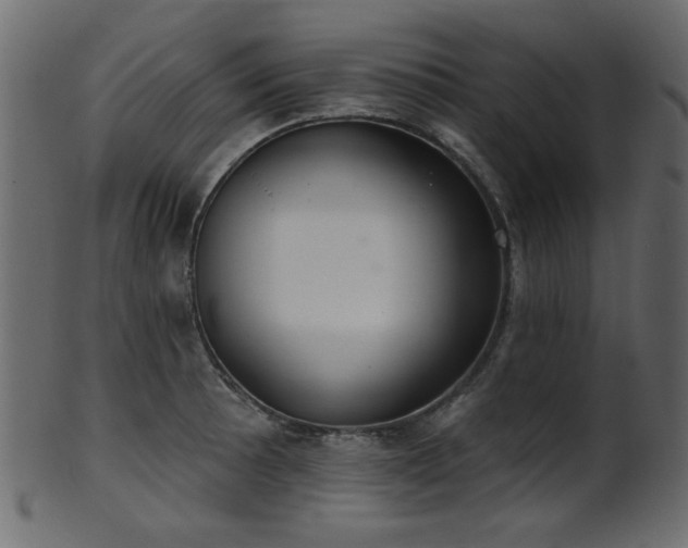 X0000101981089200807181119