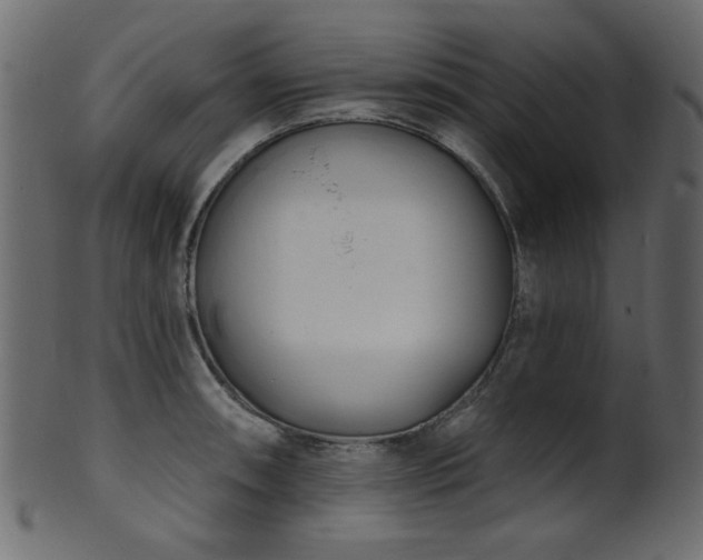 X0000101981090200807181119