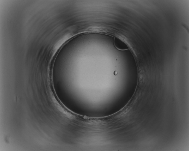 X0000101981091200807181119