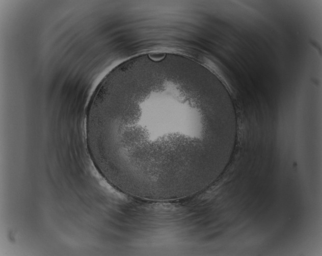 X0000101981092200807181119