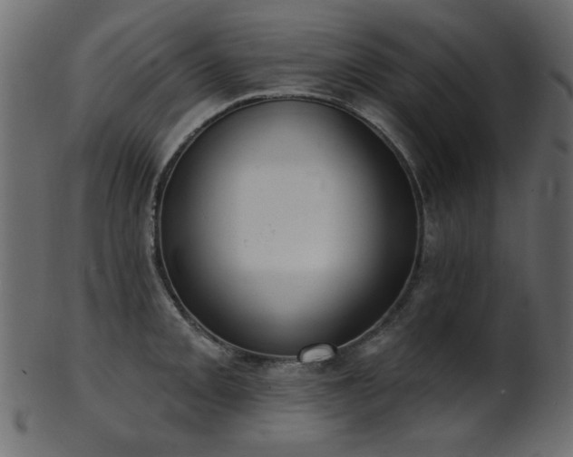 X0000101981093200807181119