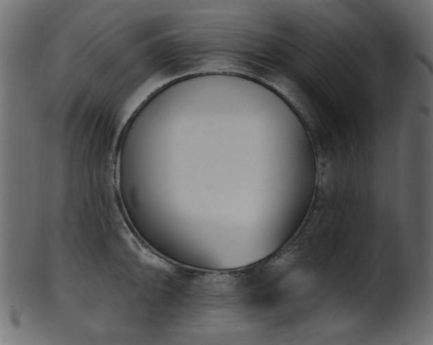 X0000101981094200807181119