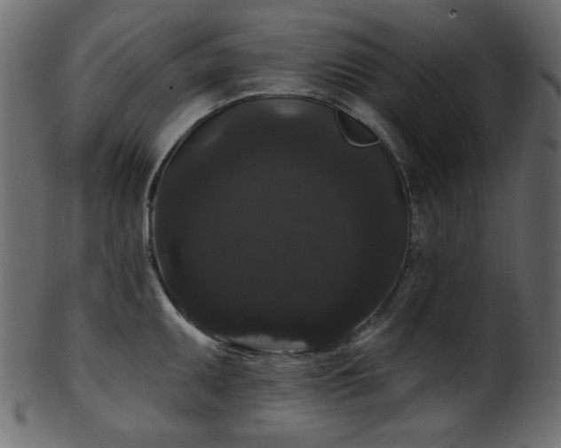 X0000101981095200807181119