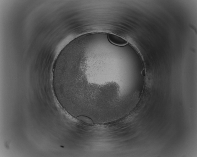 X0000101981096200807181119