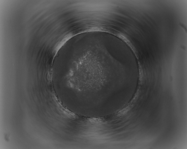 X0000101981097200807181119