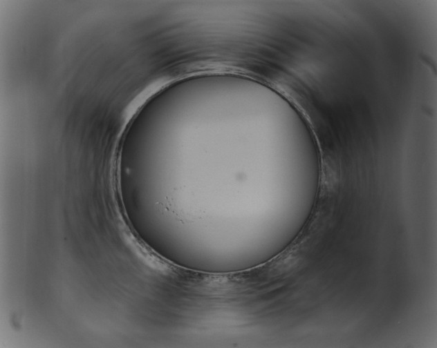 X0000101981098200807181119