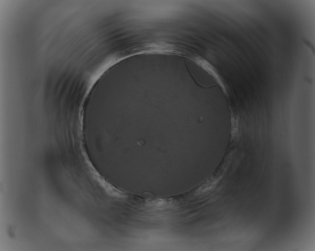 X0000101981099200807181119