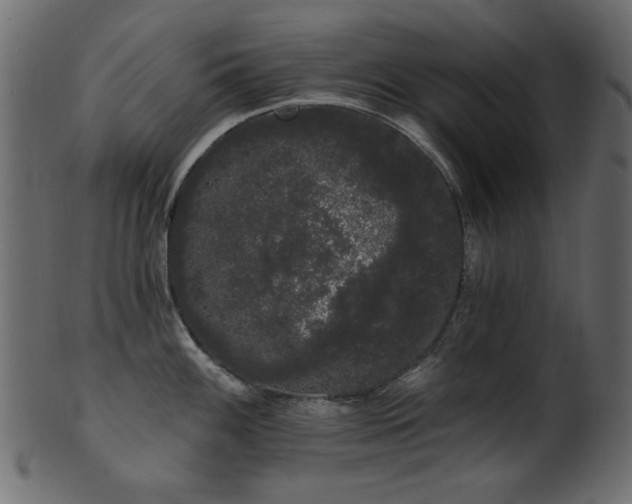 X0000101981100200807181119