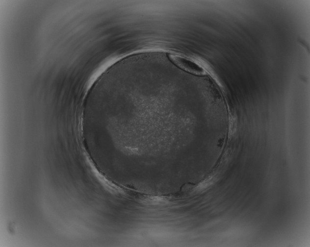 X0000101981101200807181119