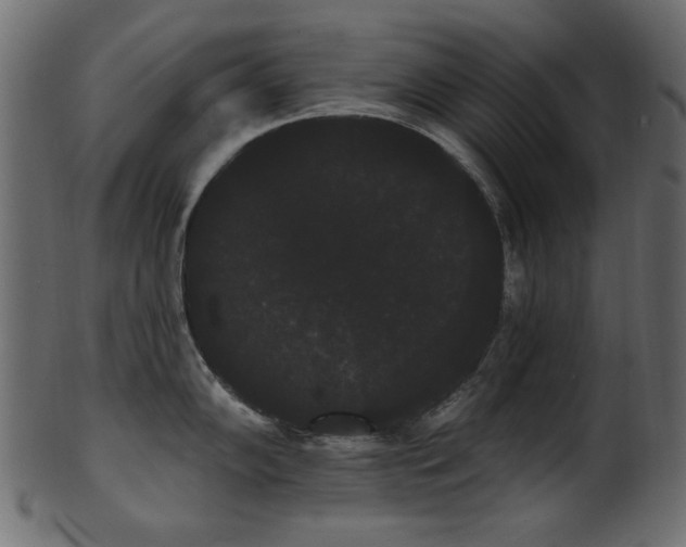 X0000101981102200807181119