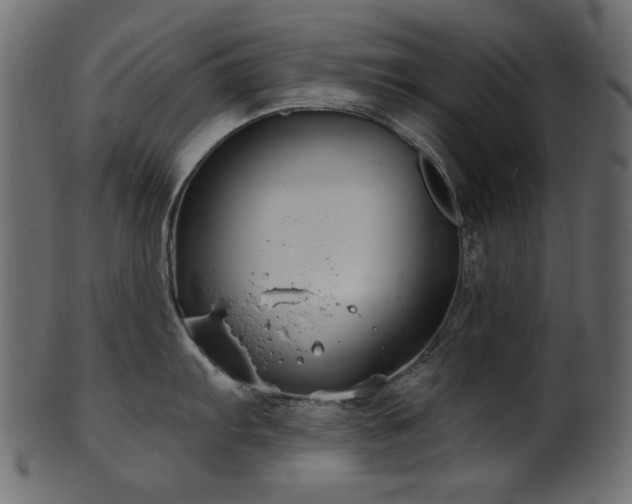 X0000101981103200807181119