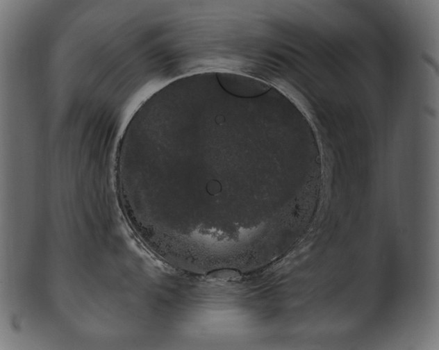 X0000101981104200807181119