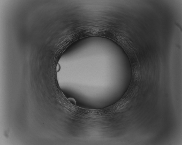 X0000101981105200807181118