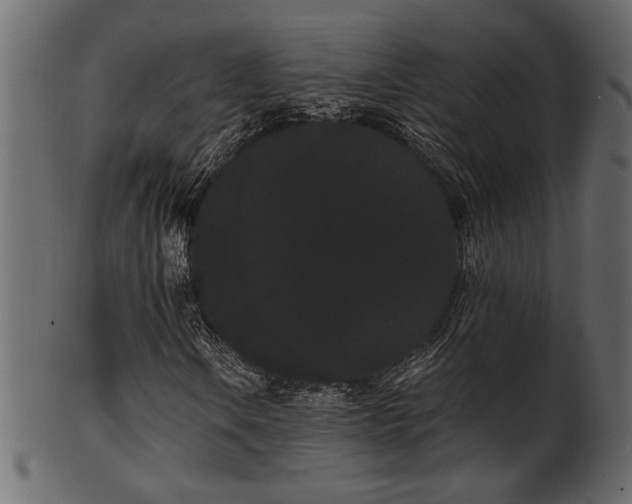 X0000101981106200807181118