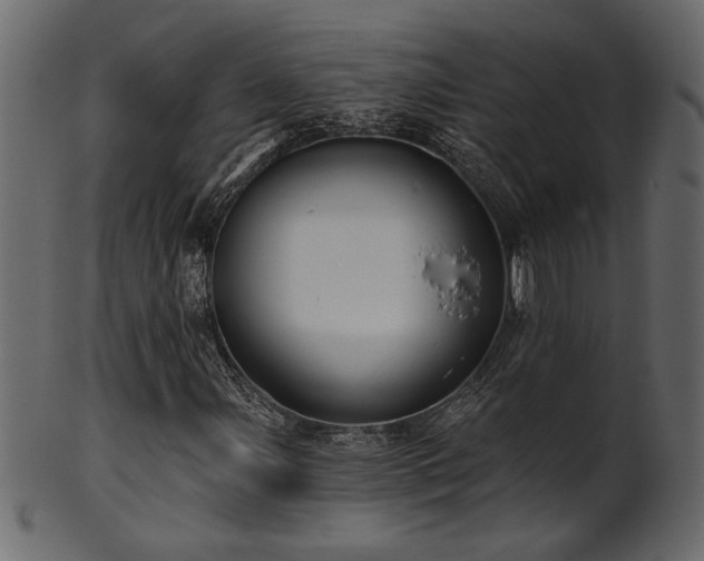 X0000101981107200807181118