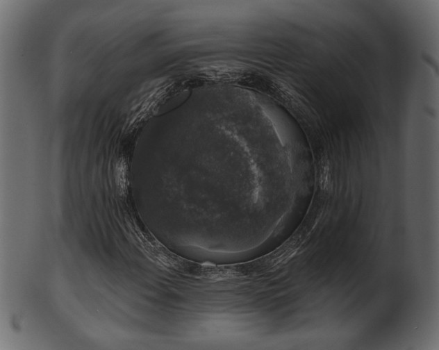 X0000101981108200807181118