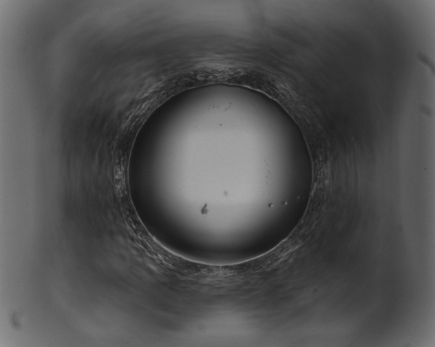 X0000101981109200807181118