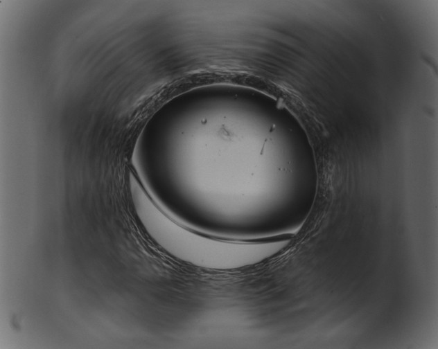 X0000101981110200807181118