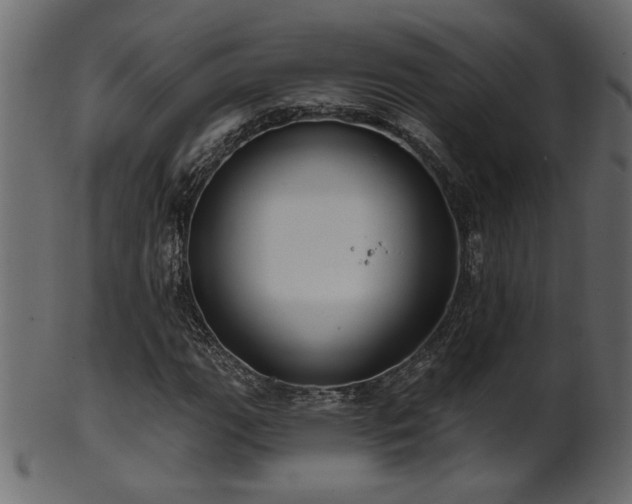 X0000101981111200807181118