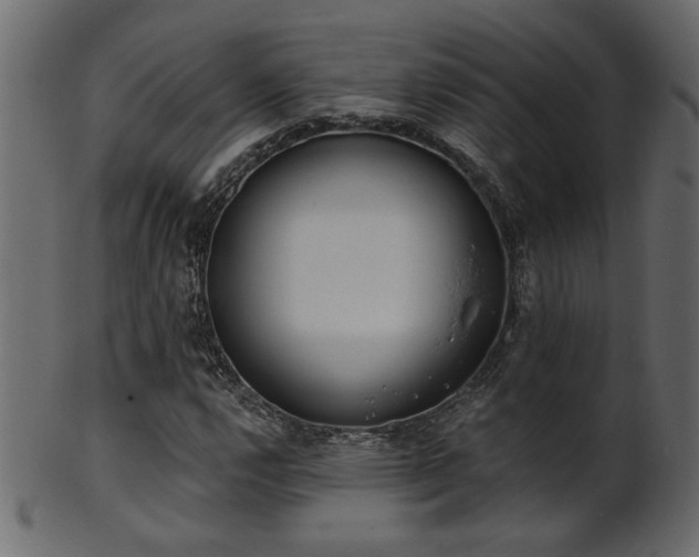 X0000101981112200807181118