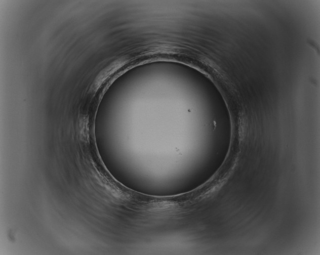 X0000101981113200807181118