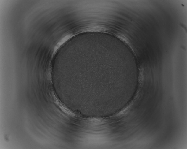 X0000101981114200807181118